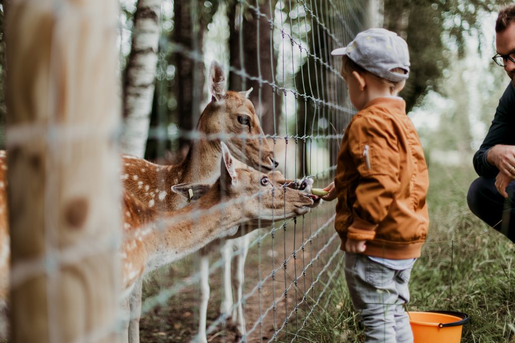 A touchpoint in the customer journey at a Zoo